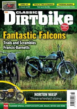 Classic Dirt Bike single issues
